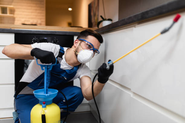 Best Pest Prevention Services  in Grayvle, IL