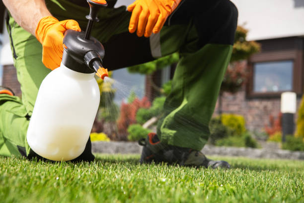 Trusted Grayville, IL Pest Control Experts