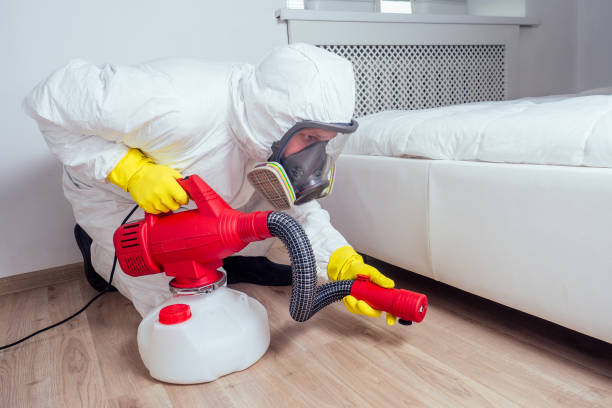 Best Pest Control for Businesses  in Grayvle, IL