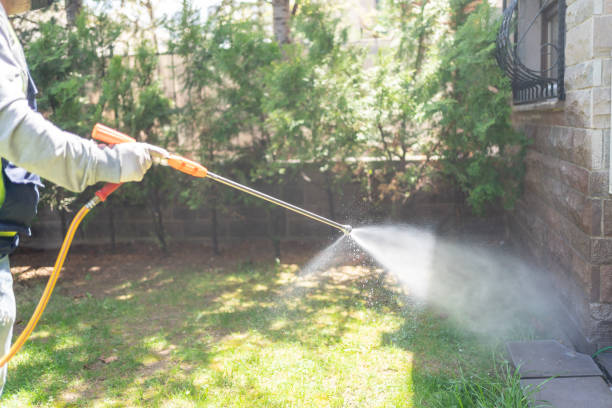 Best Commercial Pest Control Services  in Grayvle, IL