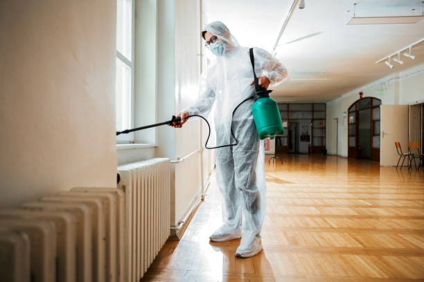 Best Rat Extermination Near Me  in Grayvle, IL